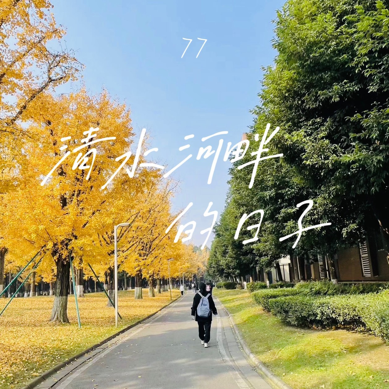 第一首原创歌曲的专辑封面